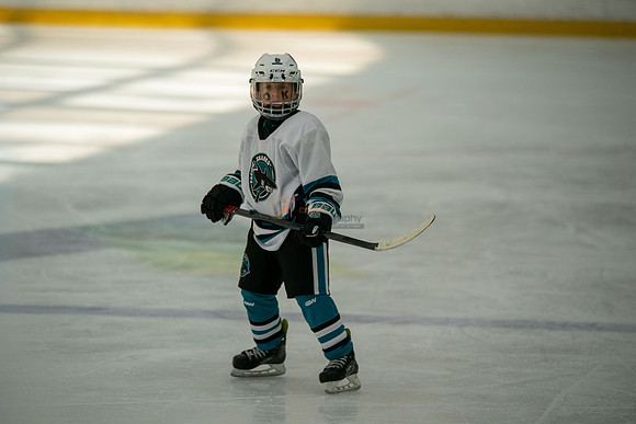 sharks-may2-0176