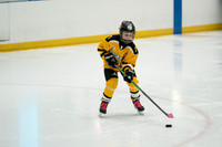 PRedators-yellow-8