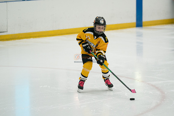 PRedators-yellow-8