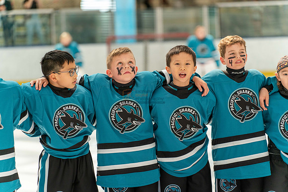 Sharks-may3-9907