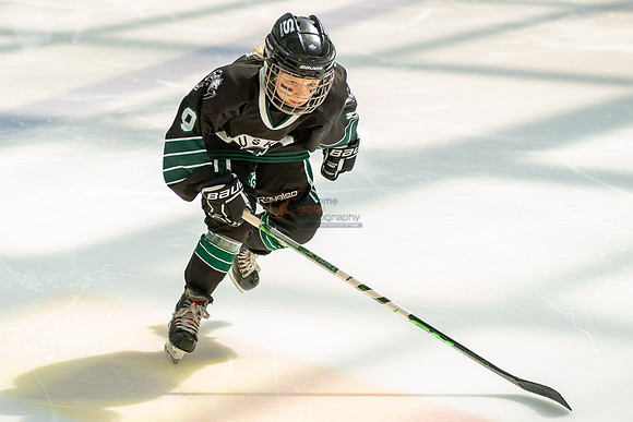 Husky-prospects-0052