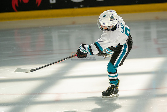 sharks-may2-0033