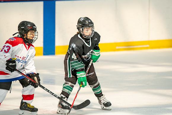 Husky-prospects-0277