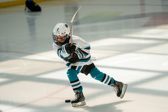 sharks-may2-0056