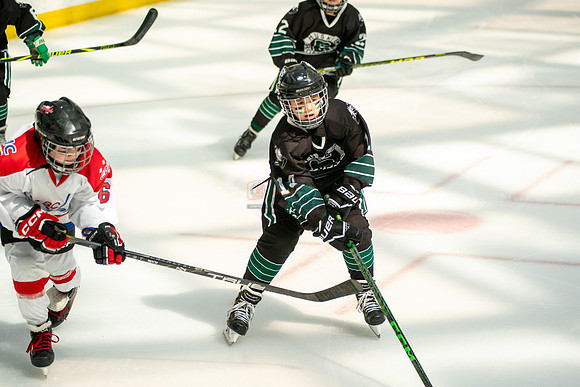 Husky-prospects-0154