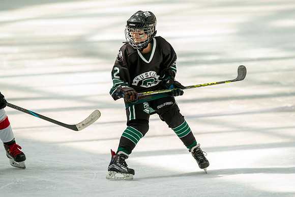Husky-prospects-0194