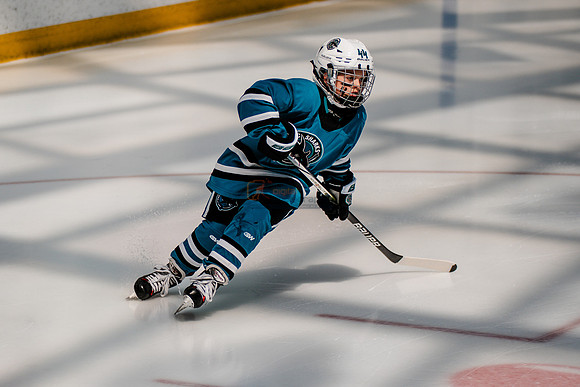 Sharks-may3-0012