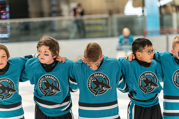 Sharks-may3-9905