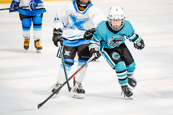Sharks-may3-0328