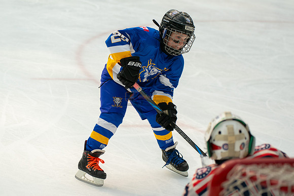 Bisons-2-27