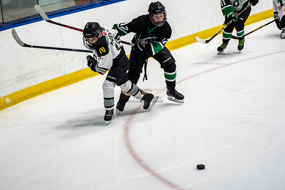 stplpreds-2-12