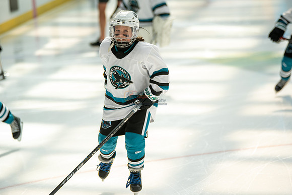 sharks--may1-0022