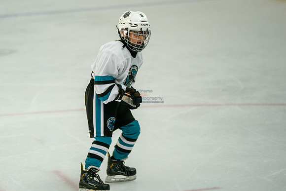 sharks-may2-0271