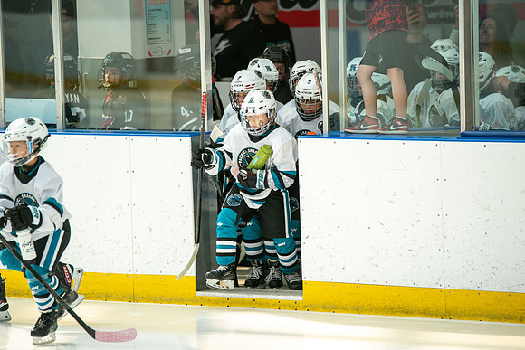 sharks--may1-0005