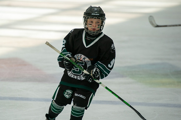 Husky-prospects-0269