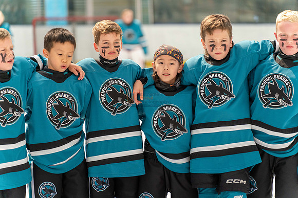 Sharks-may3-9909