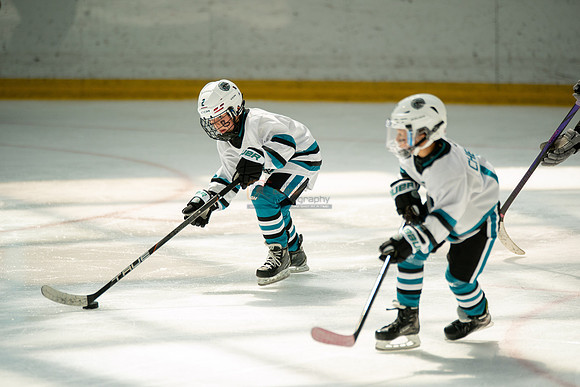 sharks-may2-0312
