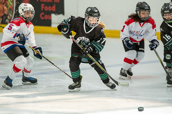 Husky-prospects-2-21