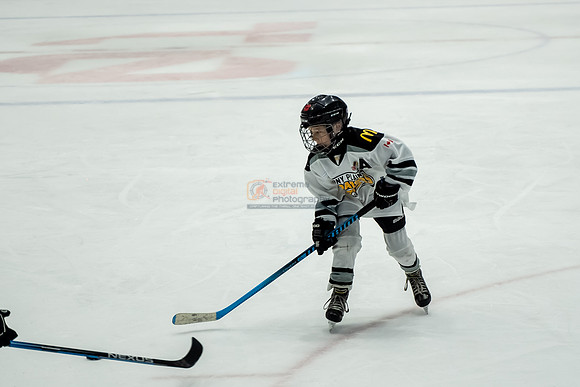 stplpreds-2-18