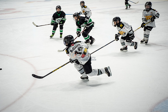 stplpreds-2-10