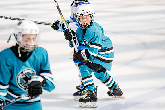 Sharks-may3-0163