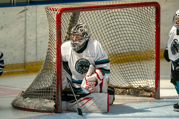 sharks-may2-0258
