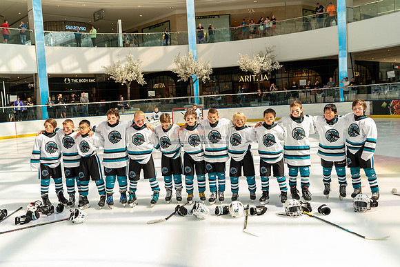 sharks-may2-9573
