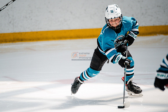 Sharks-may3-0100