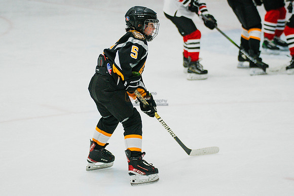 hawksnov92024-286