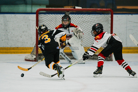 hawksnov92024-299