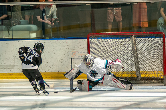 sharks-may2-0118