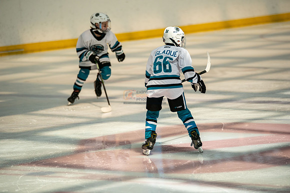 sharks-may2-0254