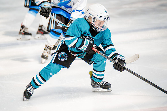 Sharks-may3-0129