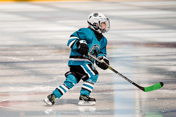 Sharks-may3-0209