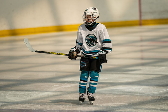 sharks-may2-0137