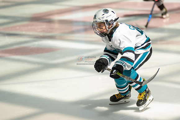 sharks-may2-0216