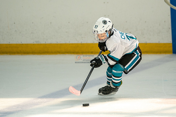 sharks-may2-0340