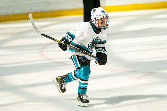 sharks-may2-0250