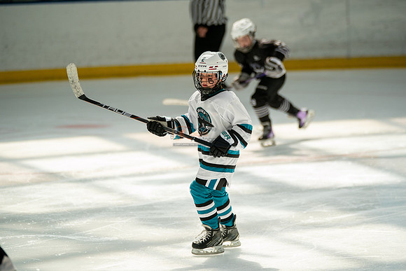 sharks-may2-0302