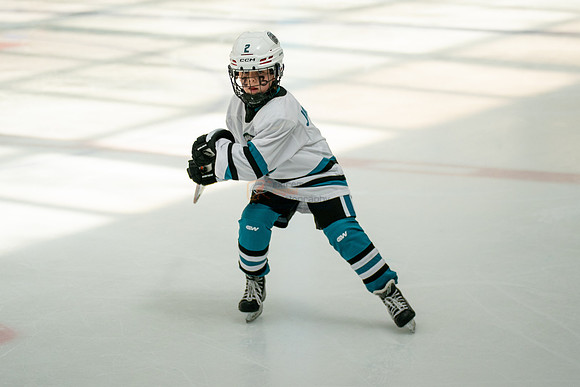 sharks-may2-0151