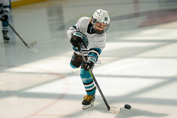 sharks-may2-0039