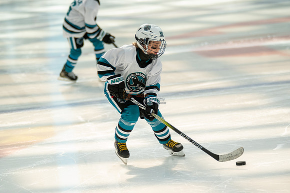sharks--may1-0030