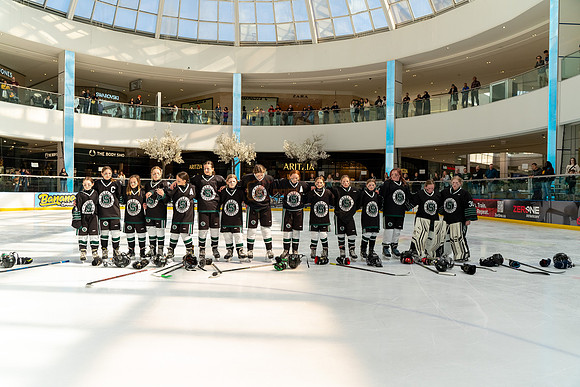 allstar-teams-0414