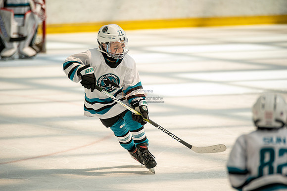 sharks-may2-0478