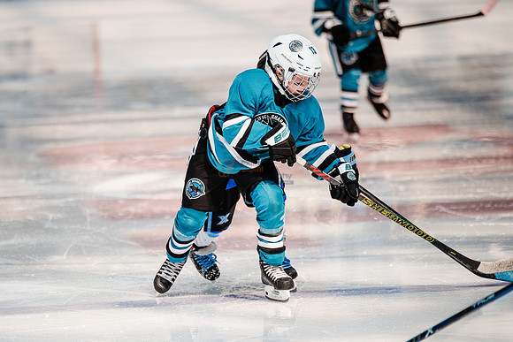 Sharks-may3-0227