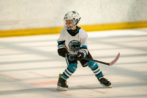 sharks-may2-0475