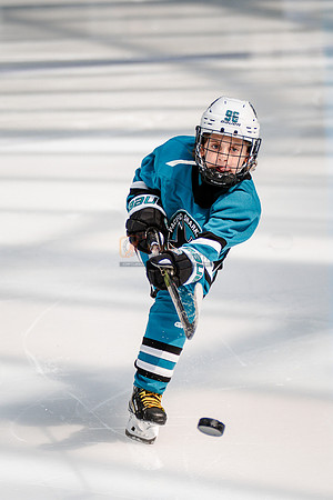 Sharks-may3-0042