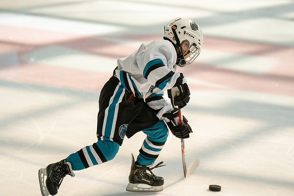 sharks-may2-0418
