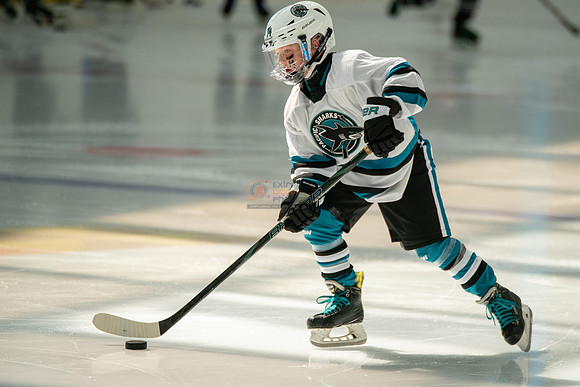 sharks-may2-0044