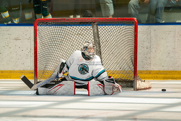 sharks-may2-0193